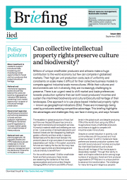 Can collective intellectual property rights preserve culture and biodiversity?
